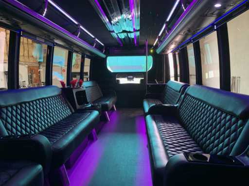 30 Passengers Party Bus